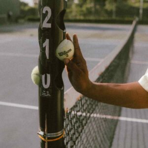 Ball Feeder Pole